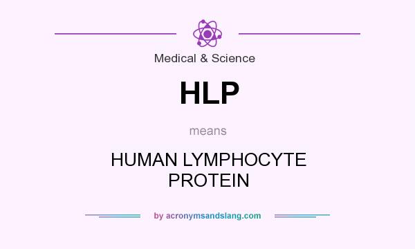 What does HLP mean? It stands for HUMAN LYMPHOCYTE PROTEIN
