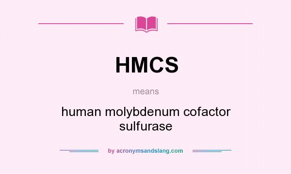 What does HMCS mean? It stands for human molybdenum cofactor sulfurase