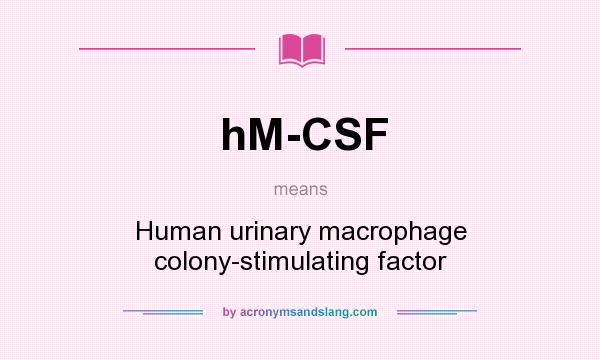 What does hM-CSF mean? It stands for Human urinary macrophage colony-stimulating factor