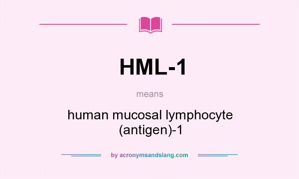 What does HML-1 mean? It stands for human mucosal lymphocyte (antigen)-1