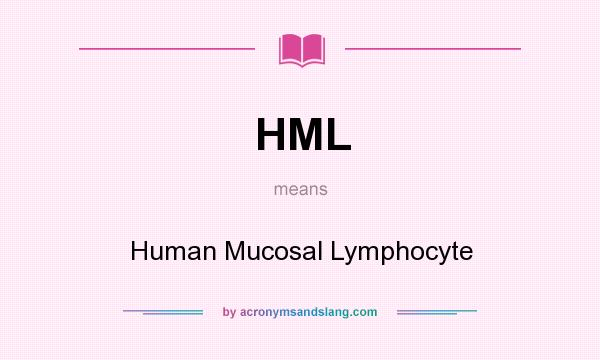 What does HML mean? It stands for Human Mucosal Lymphocyte