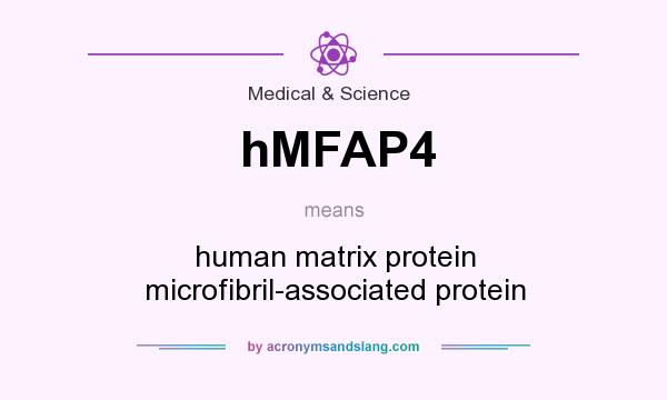 What does hMFAP4 mean? It stands for human matrix protein microfibril-associated protein