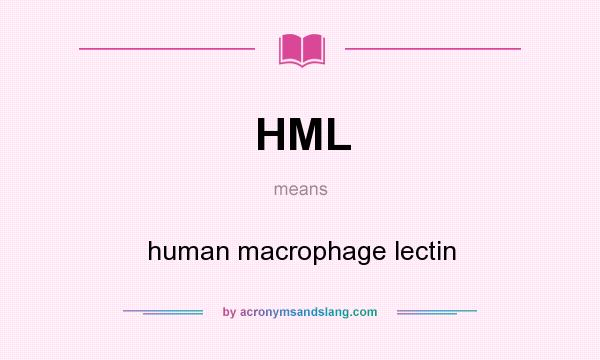 What does HML mean? It stands for human macrophage lectin
