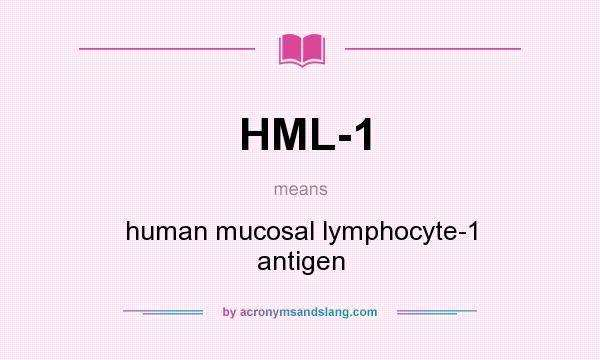 What does HML-1 mean? It stands for human mucosal lymphocyte-1 antigen