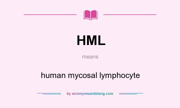 What does HML mean? It stands for human mycosal lymphocyte