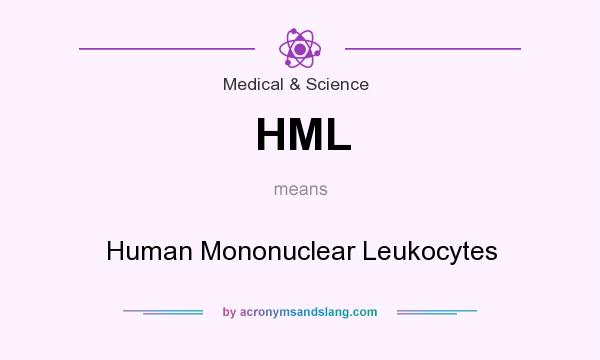 What does HML mean? It stands for Human Mononuclear Leukocytes
