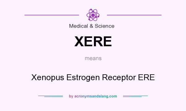 What does XERE mean? It stands for Xenopus Estrogen Receptor ERE