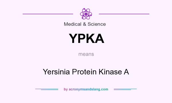 What does YPKA mean? It stands for Yersinia Protein Kinase A