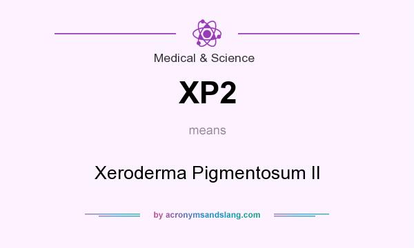 What does XP2 mean? It stands for Xeroderma Pigmentosum II