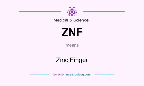 What does ZNF mean? It stands for Zinc Finger