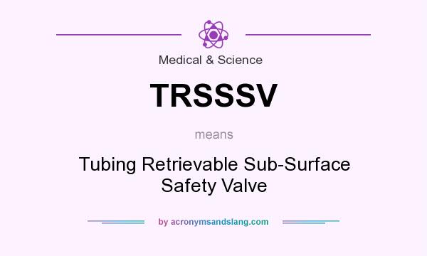 What does TRSSSV mean? It stands for Tubing Retrievable Sub-Surface Safety Valve