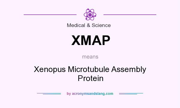What does XMAP mean? It stands for Xenopus Microtubule Assembly Protein