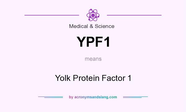 What does YPF1 mean? It stands for Yolk Protein Factor 1