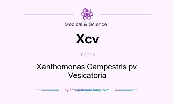 What does Xcv mean? It stands for Xanthomonas Campestris pv. Vesicatoria