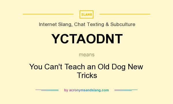 What does YCTAODNT mean? It stands for You Can`t Teach an Old Dog New Tricks