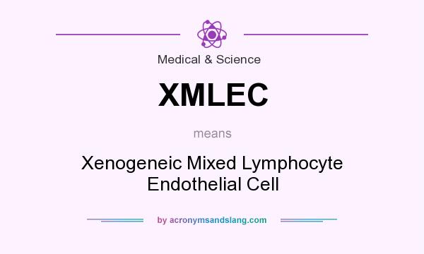 What does XMLEC mean? It stands for Xenogeneic Mixed Lymphocyte Endothelial Cell