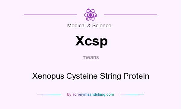 What does Xcsp mean? It stands for Xenopus Cysteine String Protein