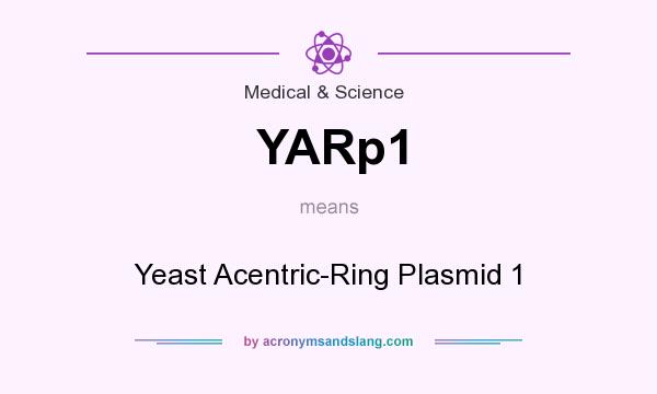 What does YARp1 mean? It stands for Yeast Acentric-Ring Plasmid 1