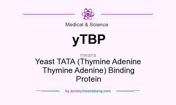 What does yTBP mean? It stands for Yeast TATA (Thymine Adenine Thymine Adenine) Binding Protein