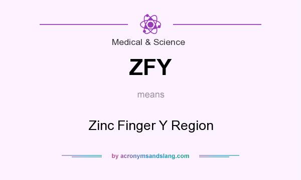 What does ZFY mean? It stands for Zinc Finger Y Region