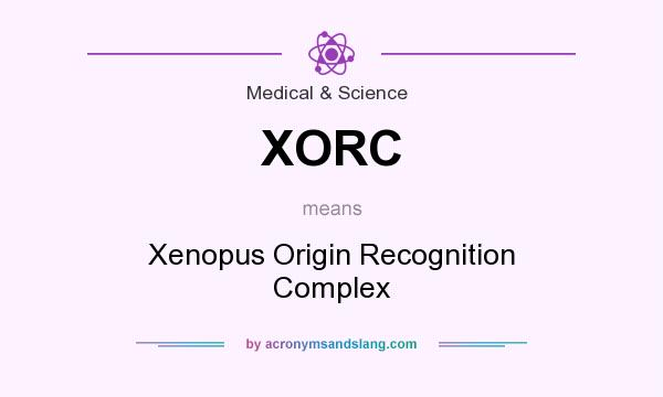 What does XORC mean? It stands for Xenopus Origin Recognition Complex