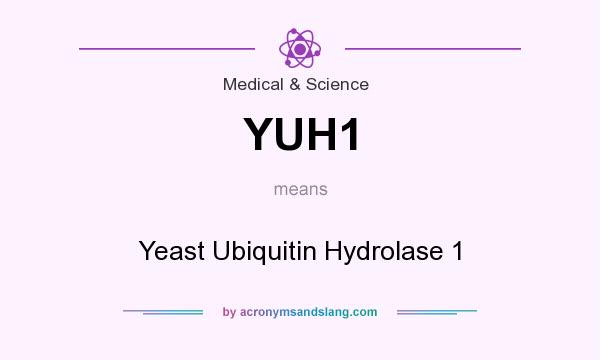 What does YUH1 mean? It stands for Yeast Ubiquitin Hydrolase 1