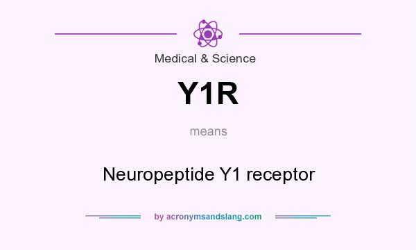 What does Y1R mean? It stands for Neuropeptide Y1 receptor