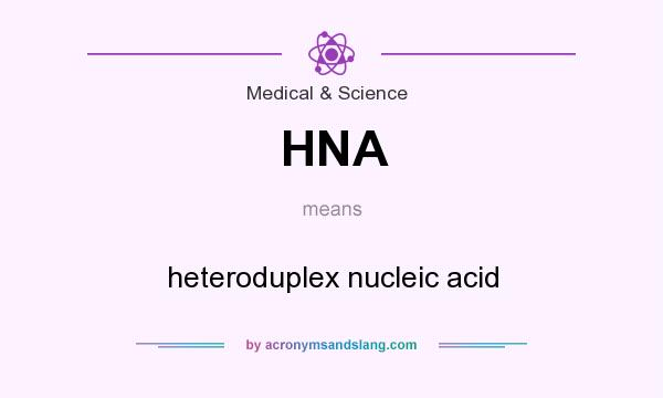 What does HNA mean? It stands for heteroduplex nucleic acid