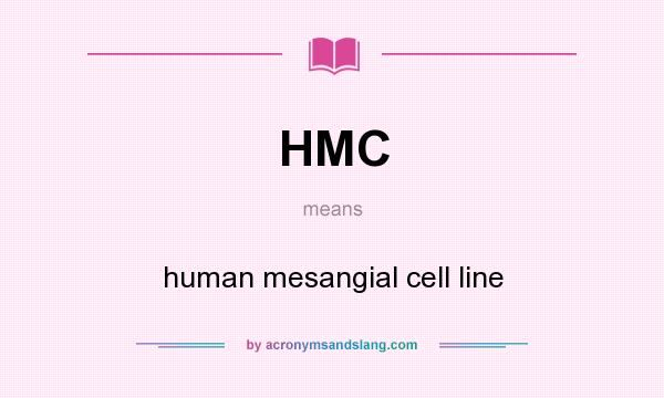 What does HMC mean? It stands for human mesangial cell line