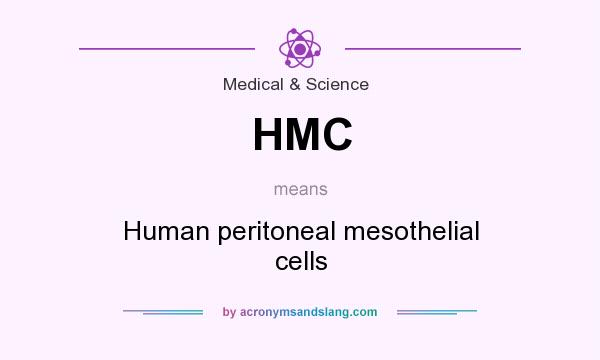 What does HMC mean? It stands for Human peritoneal mesothelial cells