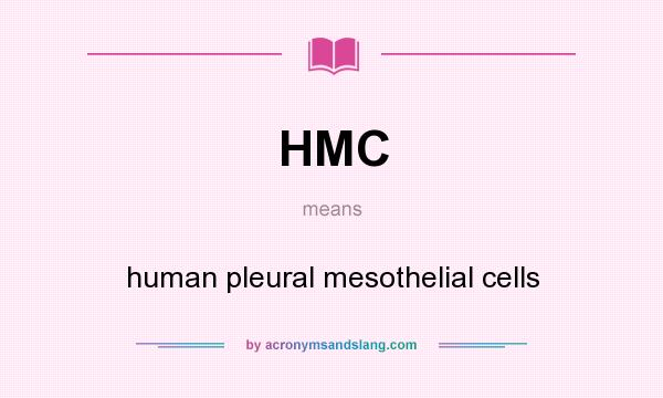 What does HMC mean? It stands for human pleural mesothelial cells