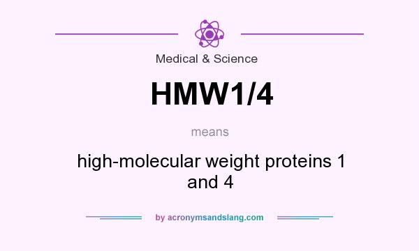 What does HMW1/4 mean? It stands for high-molecular weight proteins 1 and 4