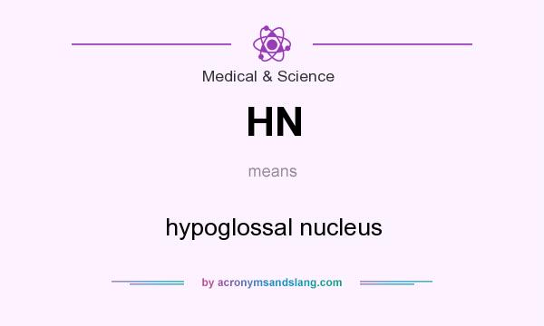 What does HN mean? It stands for hypoglossal nucleus