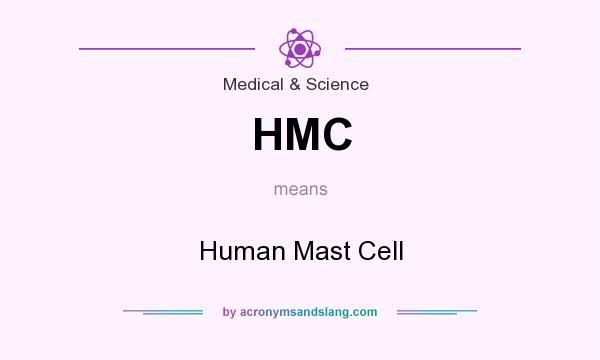 What does HMC mean? It stands for Human Mast Cell