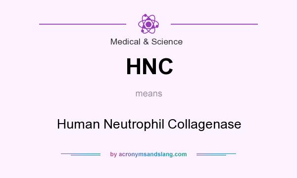 What does HNC mean? It stands for Human Neutrophil Collagenase