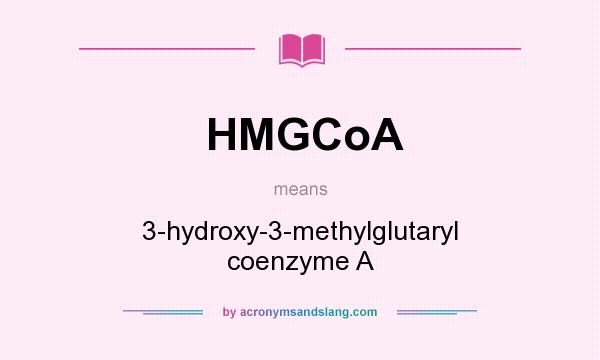 What does HMGCoA mean? It stands for 3-hydroxy-3-methylglutaryl coenzyme A
