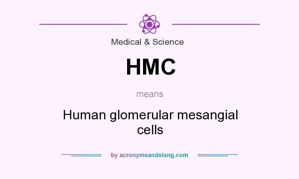 What does HMC mean? It stands for Human glomerular mesangial cells