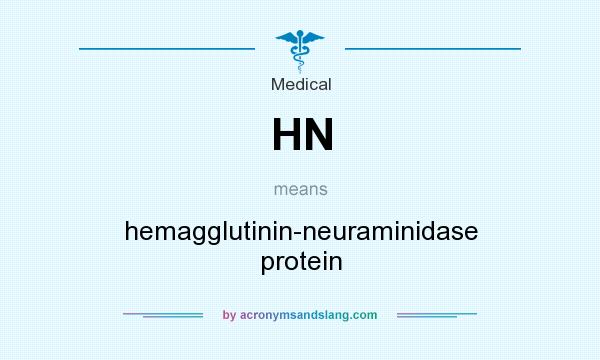 What does HN mean? It stands for hemagglutinin-neuraminidase protein
