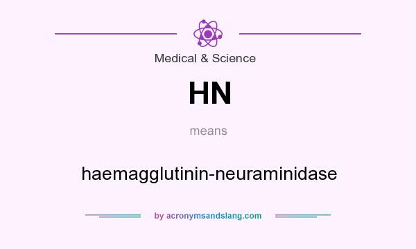 What does HN mean? It stands for haemagglutinin-neuraminidase