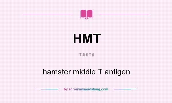 What does HMT mean? It stands for hamster middle T antigen