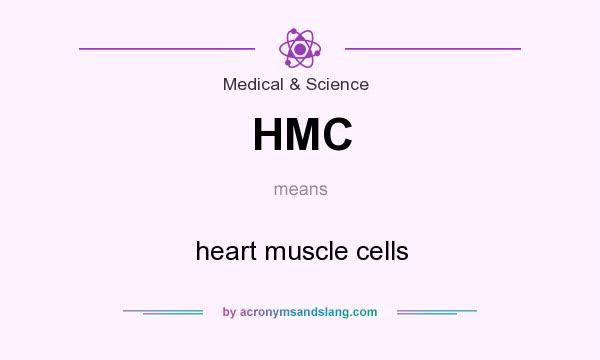 What does HMC mean? It stands for heart muscle cells