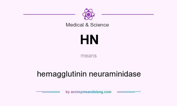 What does HN mean? It stands for hemagglutinin neuraminidase