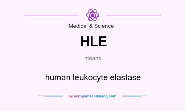 What does HLE mean? It stands for human leukocyte elastase