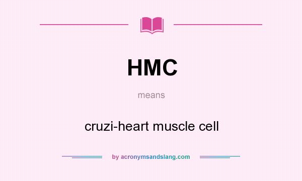 What does HMC mean? It stands for cruzi-heart muscle cell