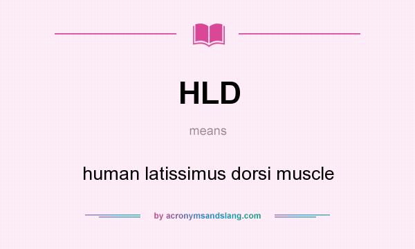 What does HLD mean? It stands for human latissimus dorsi muscle