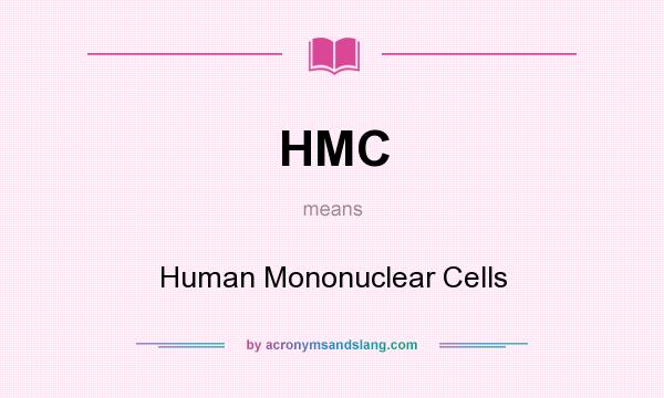 What does HMC mean? It stands for Human Mononuclear Cells