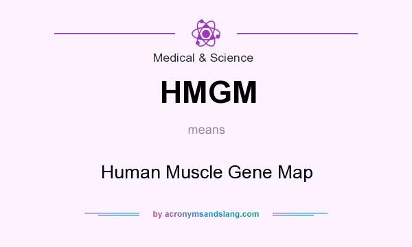 What does HMGM mean? It stands for Human Muscle Gene Map