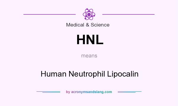 What does HNL mean? It stands for Human Neutrophil Lipocalin