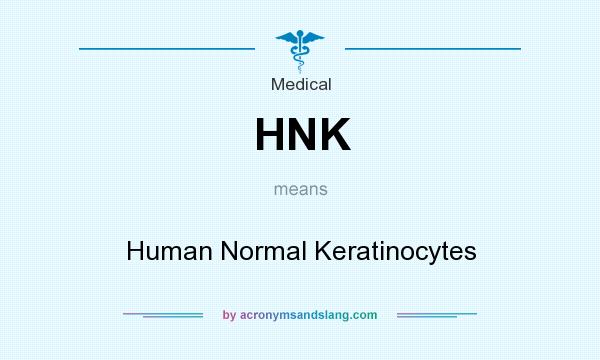 What does HNK mean? It stands for Human Normal Keratinocytes