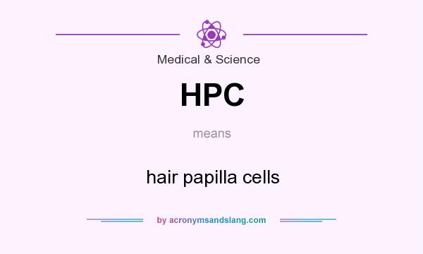 What does HPC mean? It stands for hair papilla cells